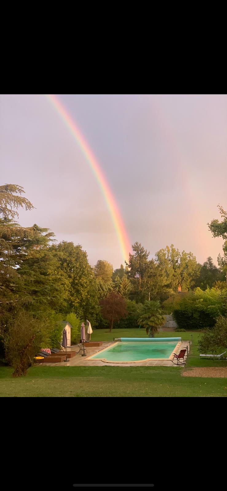 Swimming pool in the garden